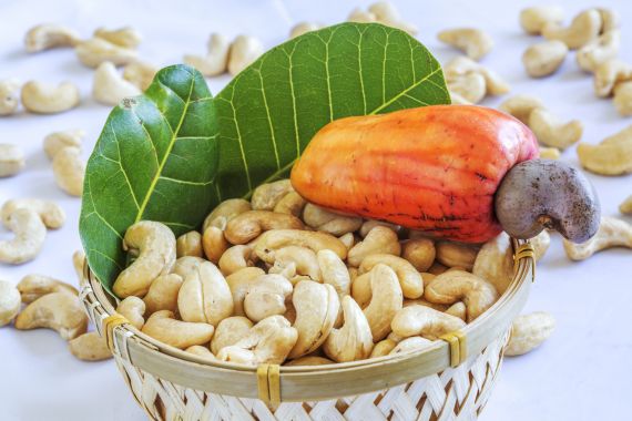 Những lợi ích từ hạt điều đến sức khỏe mà bạn cần biết